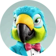 kevin_hasselt